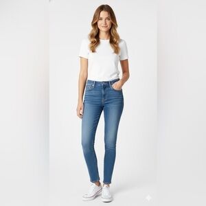 Hudson Jeans Blue Skinny Denim